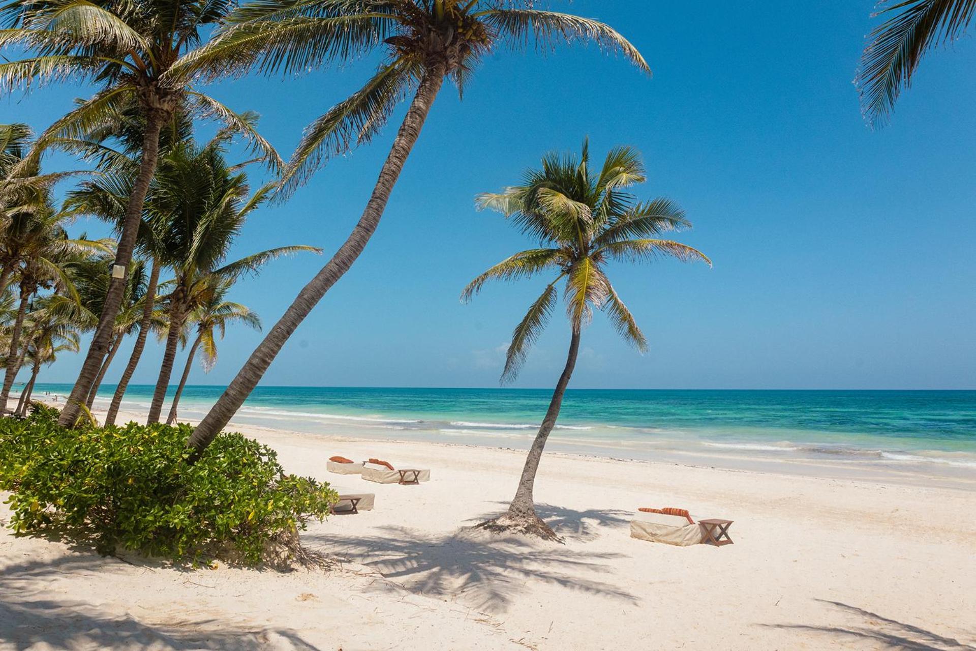 The Beach Tulum Hotel ภายนอก รูปภาพ
