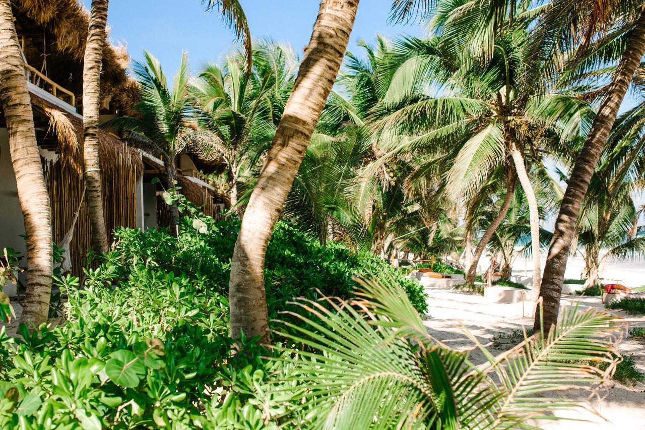 The Beach Tulum Hotel ภายนอก รูปภาพ